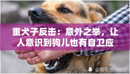 重犬子反击：意外之举，让人意识到狗儿也有自卫应变之力